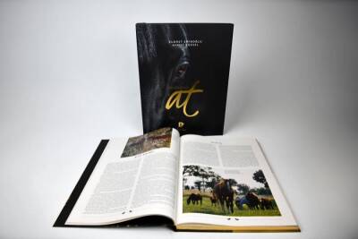 Yoldaşımız At (Prestij Boy) - 5