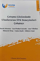Çatışma Çözümünde Uluslararası STK Deneyimleri Çalıştayı - 