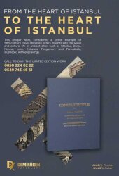 Constantinople And Its Environs - Thomas Allom