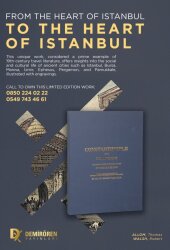 Constantinople And Its Environs - Thomas Allom