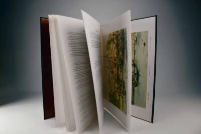 Lewis's Illustrations of Constantinople (Prestige Size) - 6
