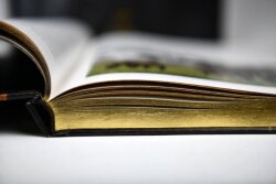 Our Companion the Horse (Prestige Size) - 8