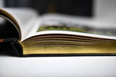 Our Companion the Horse (Prestige Size) - 8