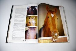 Our Companion the Horse (Prestige Size) - 6