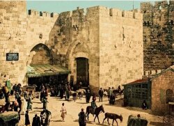 Syria During the Reign of Sultan Abdulhamid II (Turkish) (Prestige Size) - 10